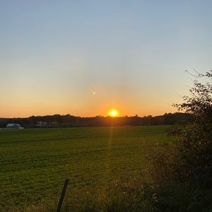 Meet your Posher, Peyton